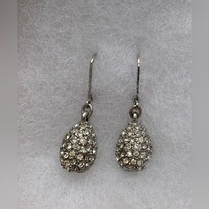 Shiny Silver Earrings